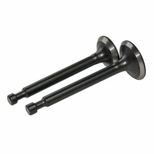 Клапан выпускной ZS188F